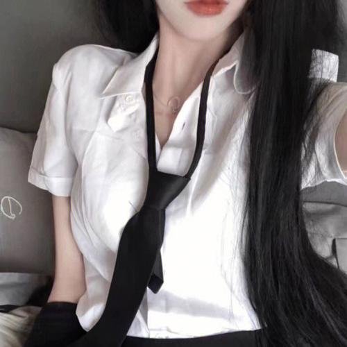 怪物史瑞克 海报