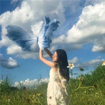 华丽一族 海报